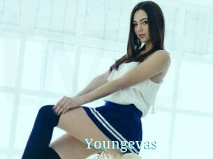 Youngevas