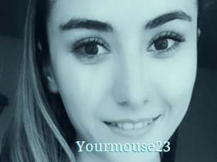 Yourmouse23