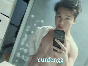 Yunfengg