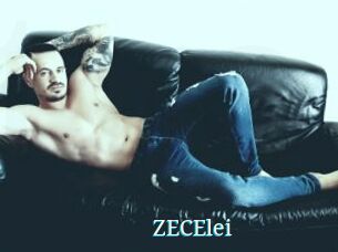 ZECElei