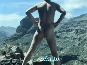Zebrito