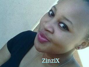 ZinziX
