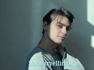 zacharyellington The voyeurs club