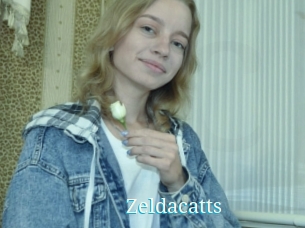 Zeldacatts